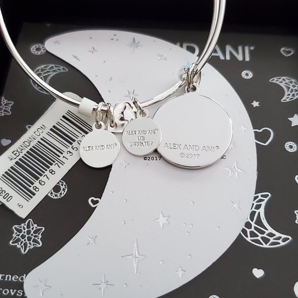 🆕️ Alex and Ani Dream Big Charm Bracelet - Picture 2 of 5